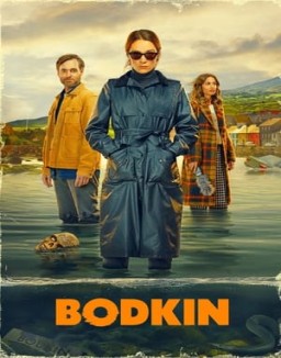 Bodkin