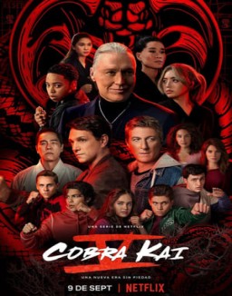 Cobra Kai saison 1