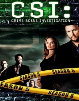 CSI: Las Vegas saison 5