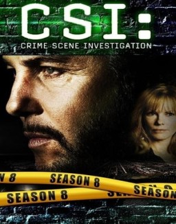 CSI: Las Vegas saison 8