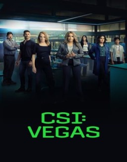 CSI: Vegas saison 1