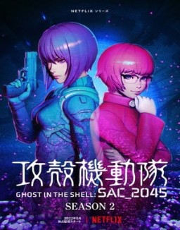 Ghost in the Shell: SAC_2045