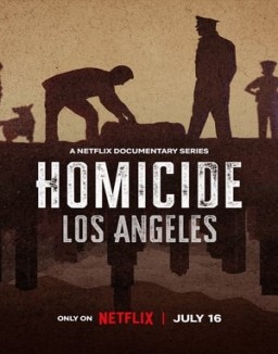 Homicidio saison 2