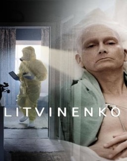 Litvinenko