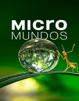 Micromundos