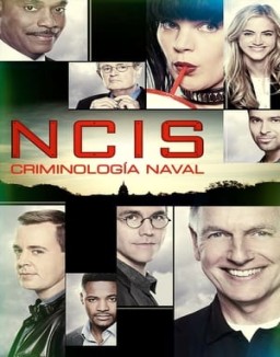 Navy: Investigación criminal saison 1