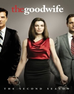 The Good Wife saison 2